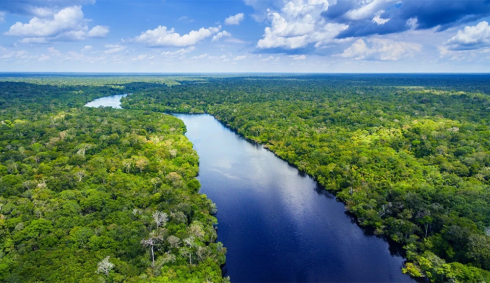 A Amazônia viralizou!