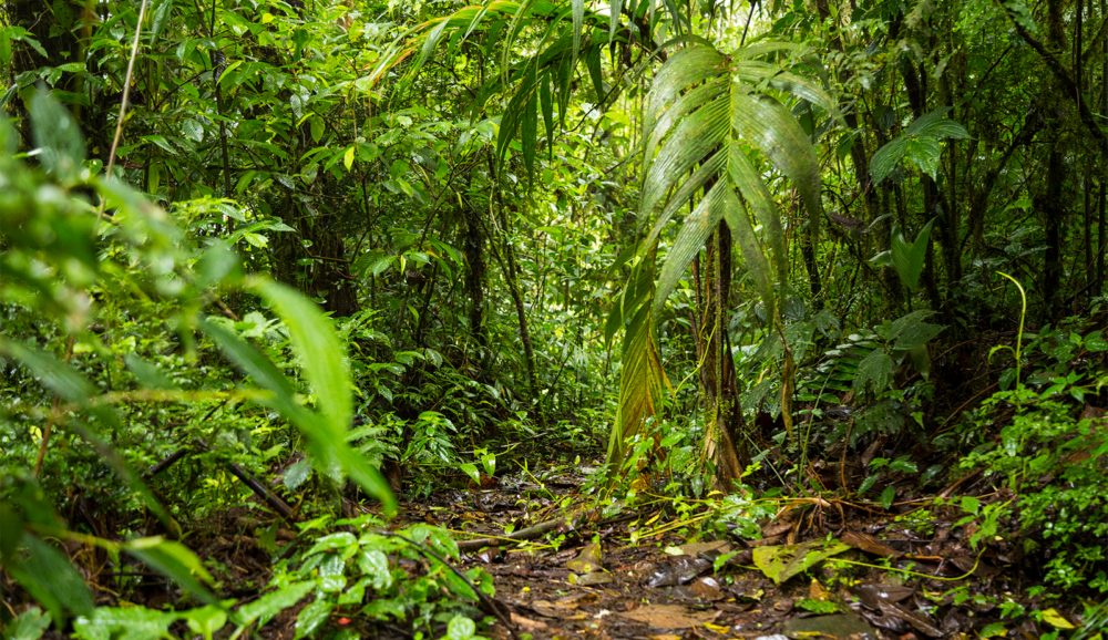 De Palo Alto a Santa Rita do Sapucaí, de Haifa a Florianópolis”