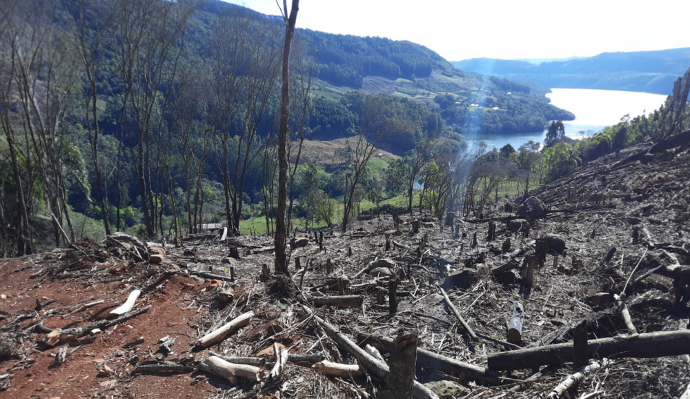 “Sim, estou mal por causa da mudança climática”