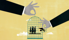 Quer libertar suas ideias? Organize-as – parte 1