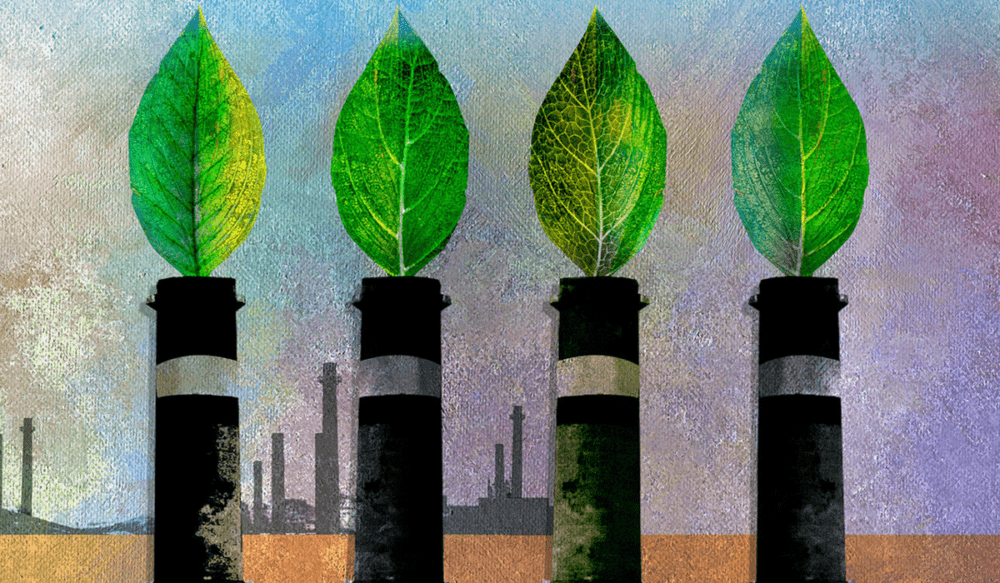 Ninguém atingirá o net zero sozinho