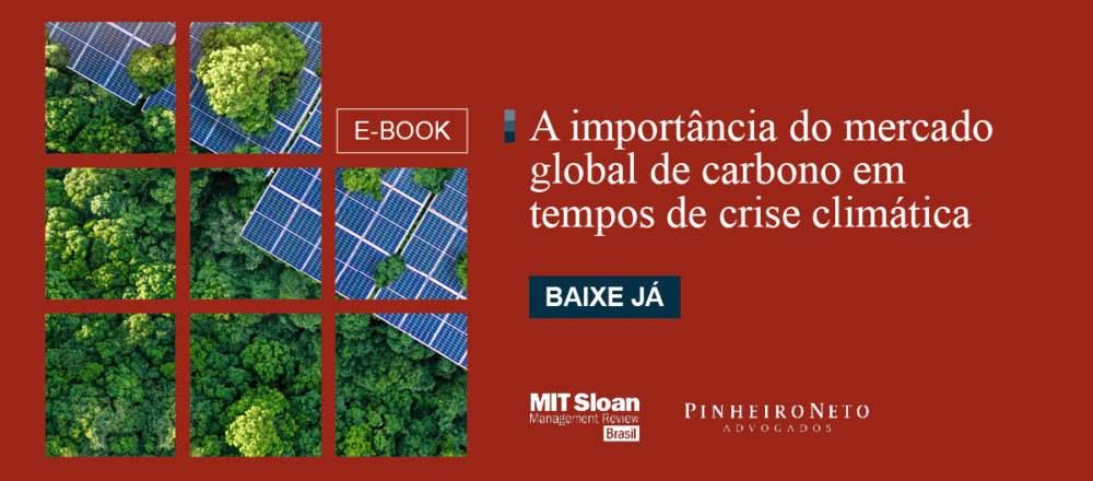 A importância do mercado global de carbono em tempos de crise climática