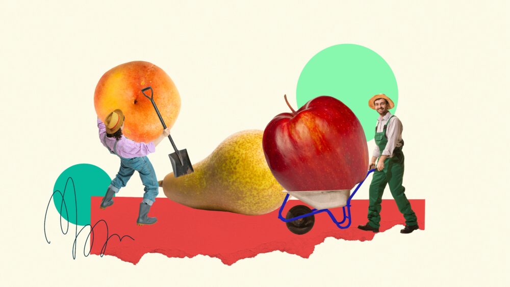 Como o agro brasileiro pode conquistar protagonismo global